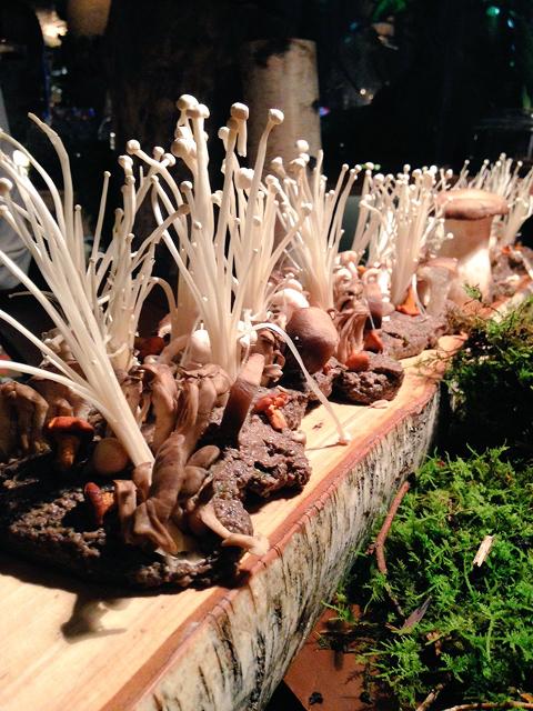 Close-up of edible mushrooms and plant-based ingredients displayed as part of a Cirque du Soleil culinary experience.