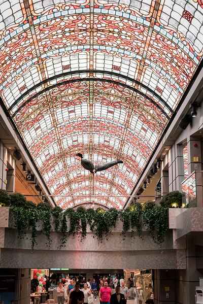 Performer balancing horizontally on a high wire inside a cruise ship atrium with a colorful stained-glass ceiling and people watching below.